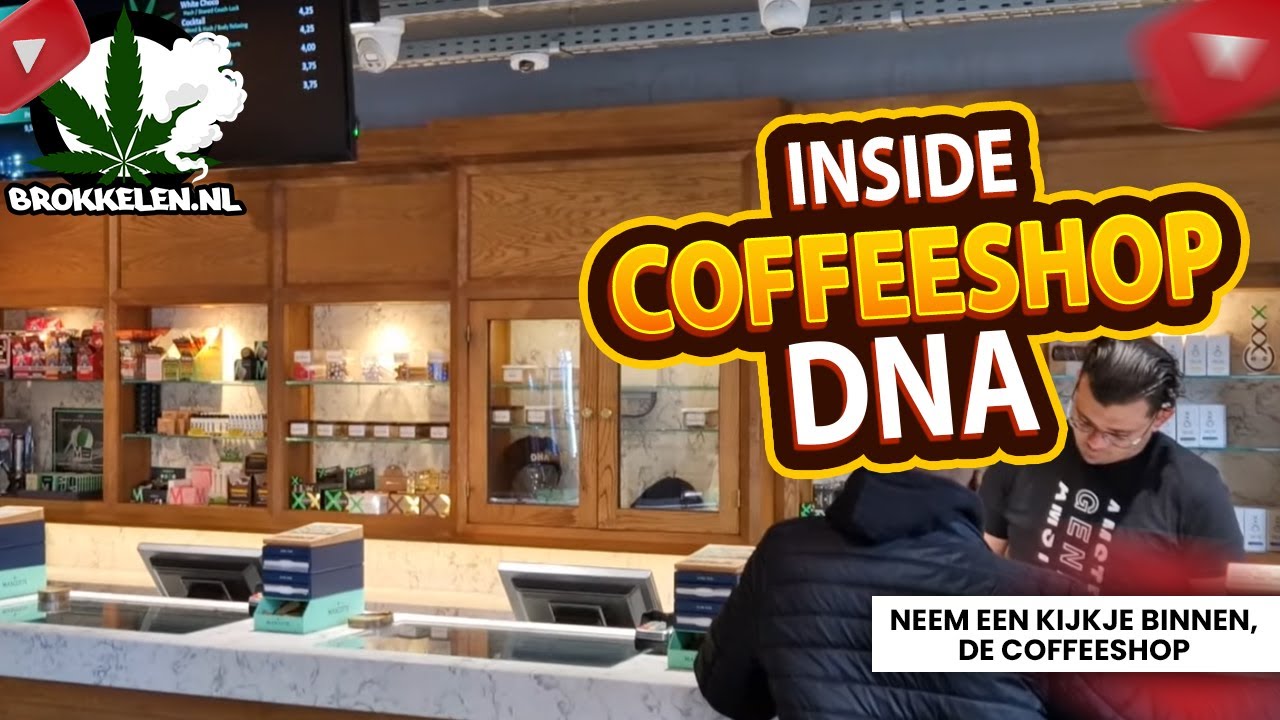 Exploring DNA Coffeeshop: A Must-Visit Cannabis Destination in Amsterdam Zuid