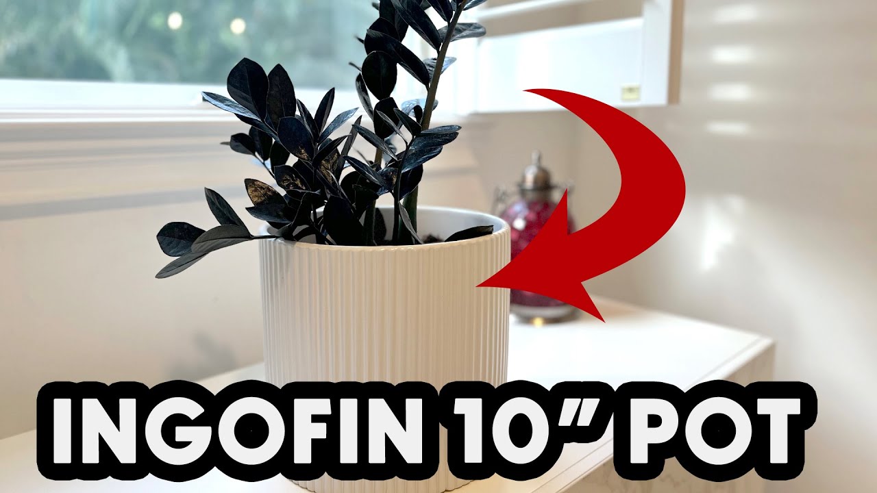 INGOFIN 10 inch Ceramic Plant Pot Review