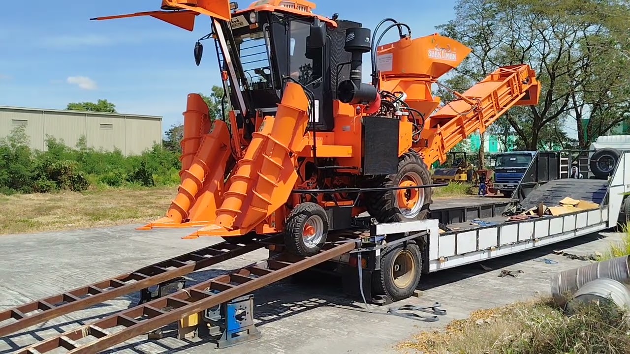Sugar cane harvester 