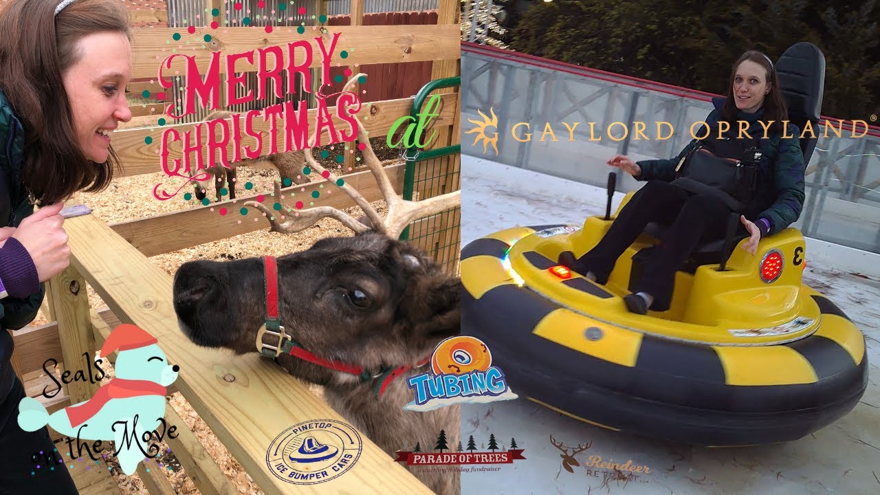 Opryland Christmas 2021 - Nashville Tennessee Things To Do - Reindeer Feeding, Ice Bumper Car, Etc.