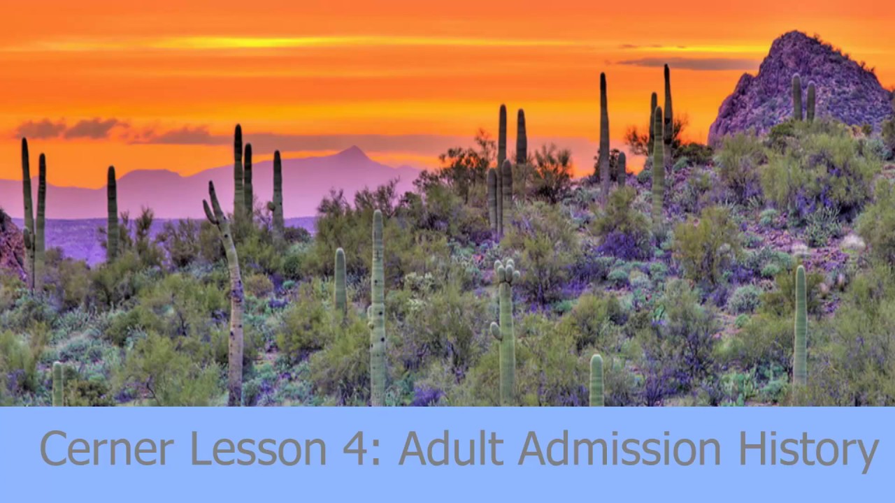 Cerner Demo 04 Adult Admission History