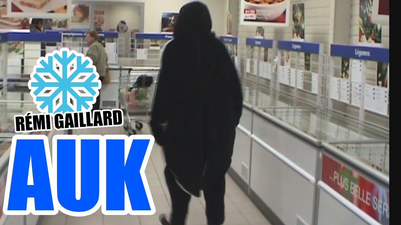 PINGOUIN (REMI GAILLARD) 🐧