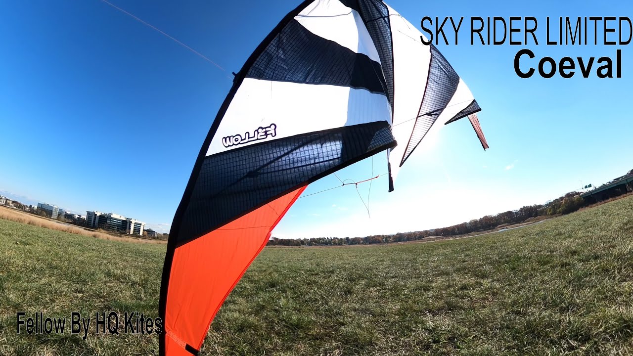 Coeval : Flying The Fellow By HQ Kites  | Sky Rider Limited