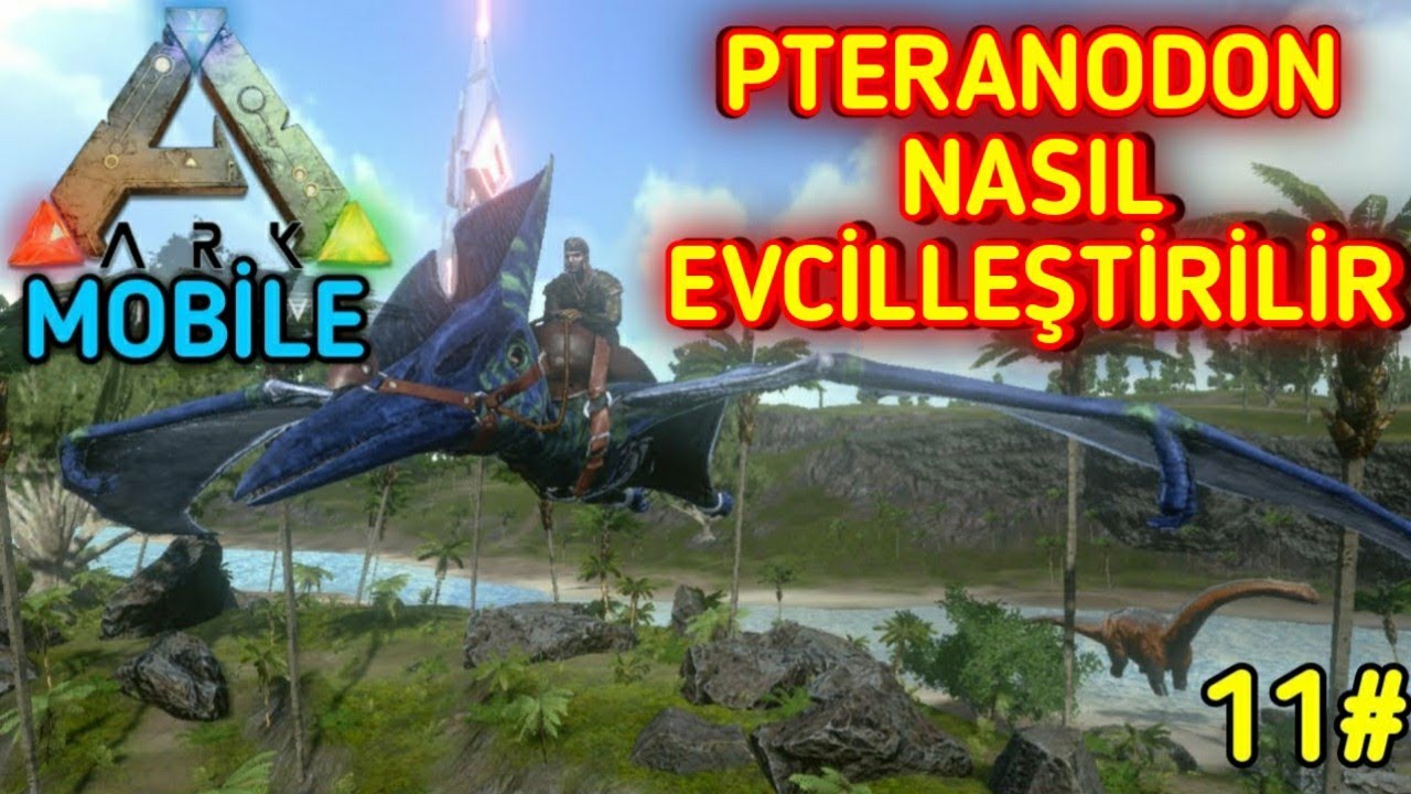 PTERANODON NASIL EVCİLLEŞTİRİLİR 11. Bölüm - (Ark Mobile Pteranodon Evcilleştirme)