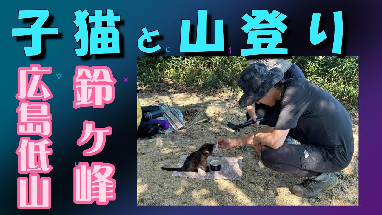 【猫と山登り】広島の低山【鈴ヶ峰】に赤ちゃん猫と一緒に山登りをしてきました。2024.9.1.