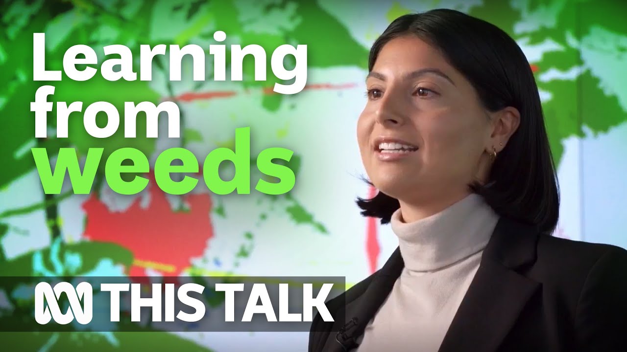 What we can learn from weeds: Zoe Xirocostas 🌱 | This Talk | ABC Australia