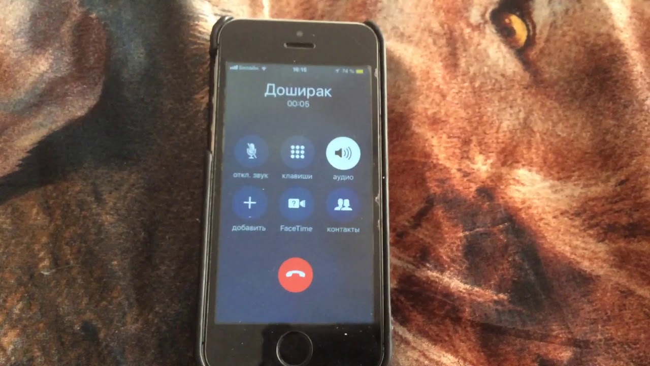 Звонок в Доширак Россия.