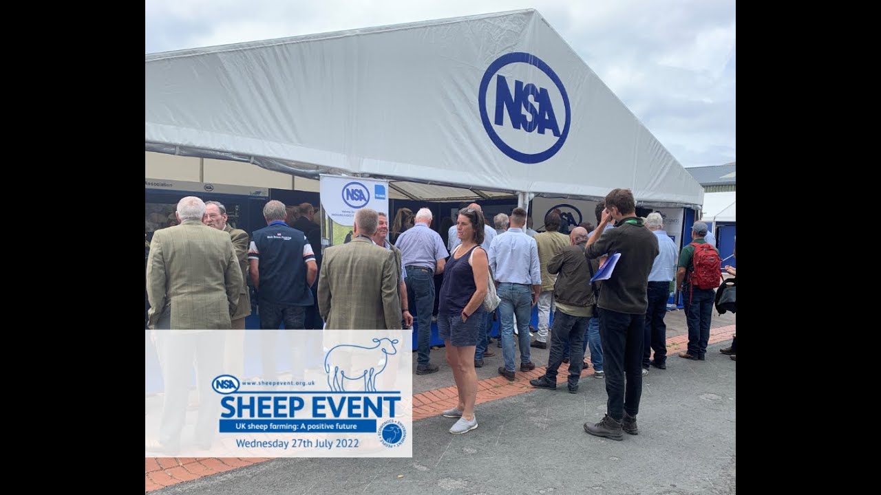 NSA Sheep Event 2022 - highlights