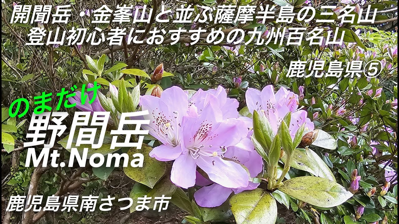 「野間岳」登山【鹿児島・南さつま市】美しい花と素晴らしい眺望を楽しむため、九州百名山の「野間岳」での山歩き