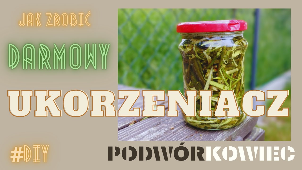 Jak zrobić DARMOWY UKORZENIACZ?