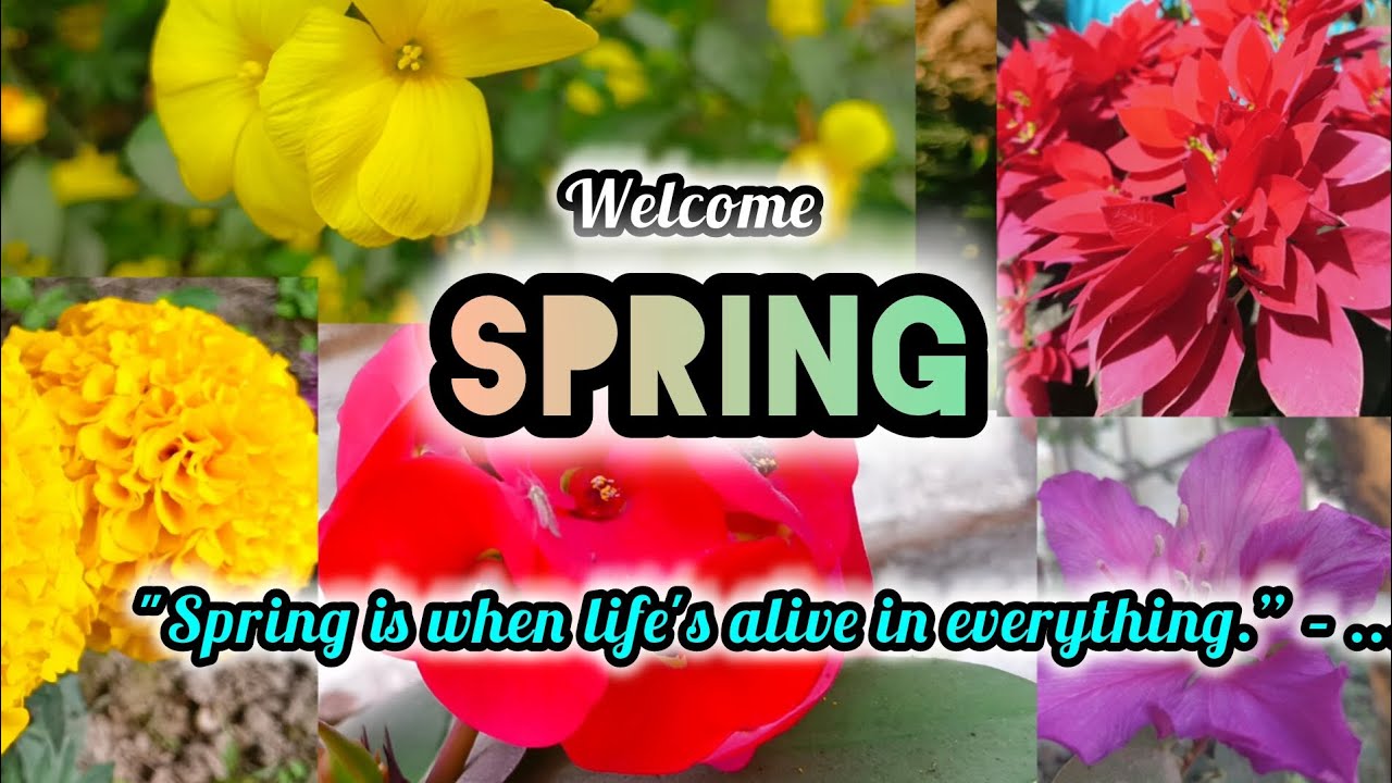 Spring fever caught me thinking of you!🌹//#youtube #minivlog #trending#subscribe#naturelovers 