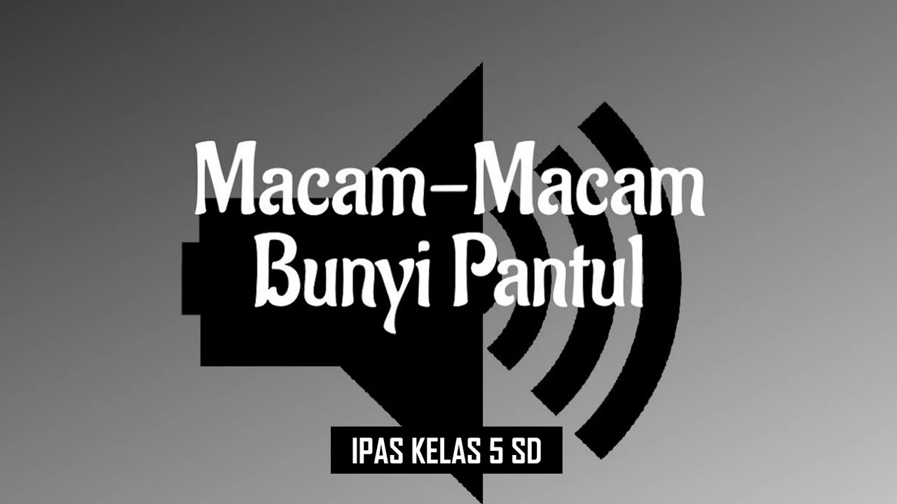 MACAM MACAM BUNYI PANTUL @jembatanilmuchannel1315