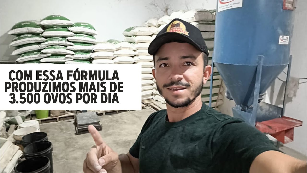 A fórmula de ração de Postura que Produz mais de 3.500 ovos Por dia no Criatório Leandro.🐓🥚🚀