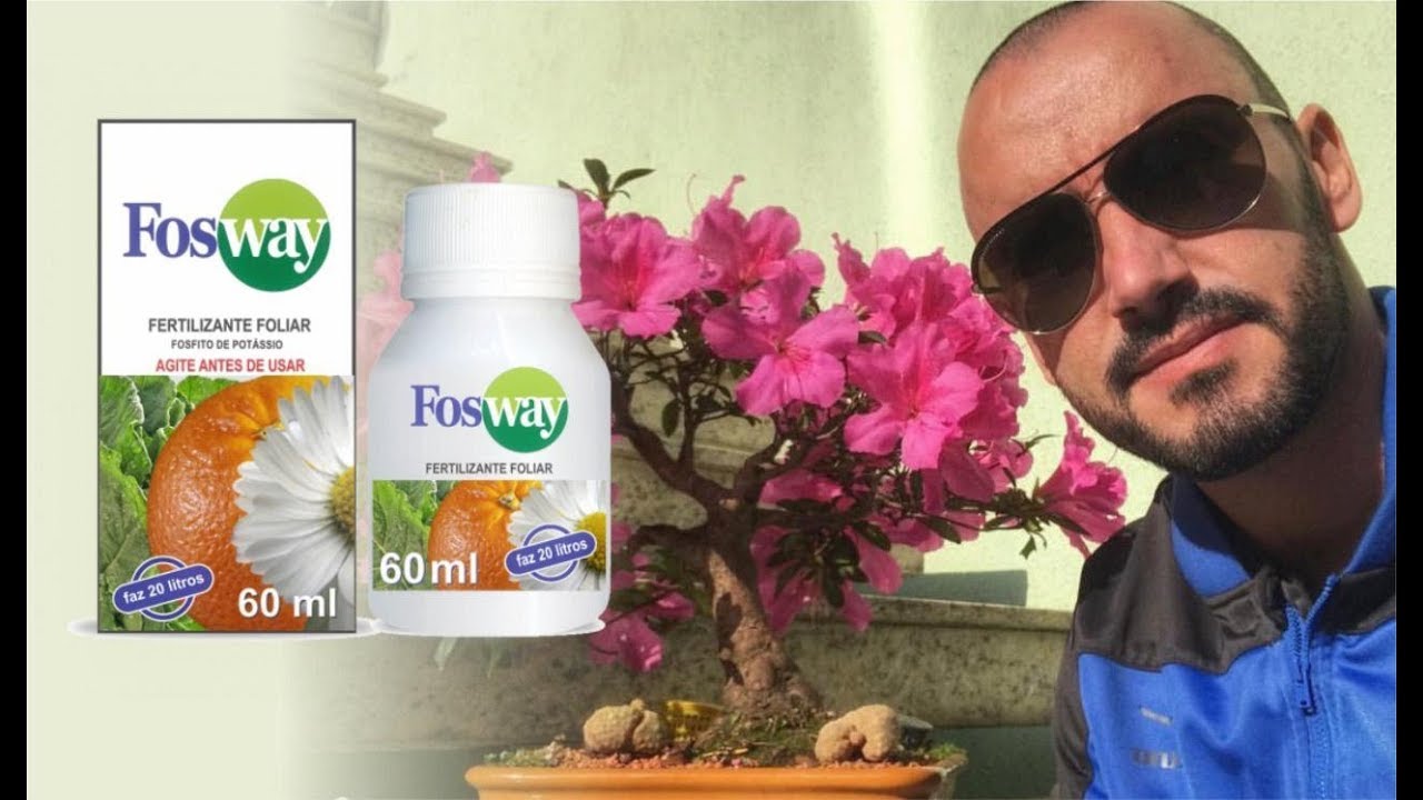 ADUBAÇÃO FOLIAR COM FÓSFORO E POTÁSSIO - DIA A DIA NO VIVEIRO