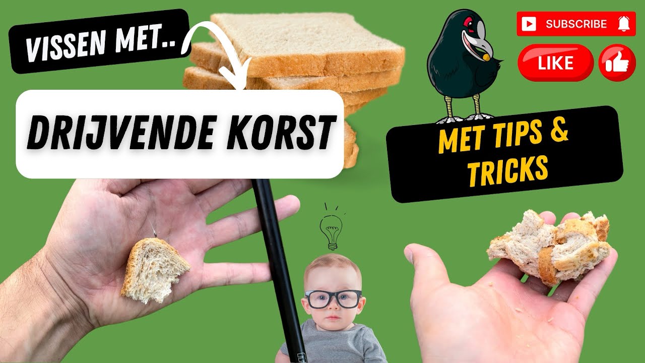 Oppervlaktevissen op karper met drijvende korst.