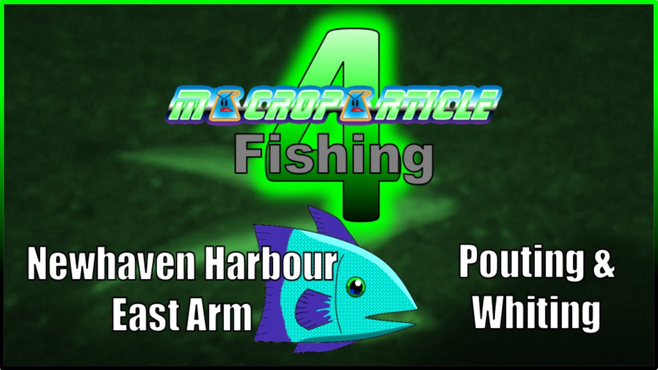 MACROPARTICLE Fishing 4 - Newhaven Harbour East Arm: Pouting & Whiting