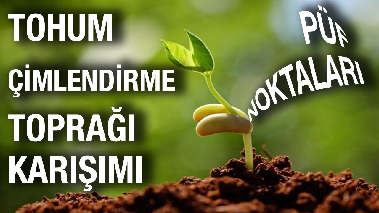 Tohum Çimlendirme Toprağı Karışımı Yapımı - Carolina Reaper Yetiştirme - CAROLİNA REAPER TÜRKİYE