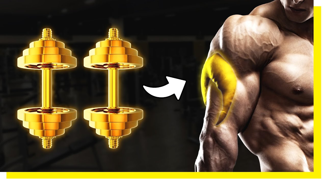 MELHORES exercícios de Tríceps com HALTERES