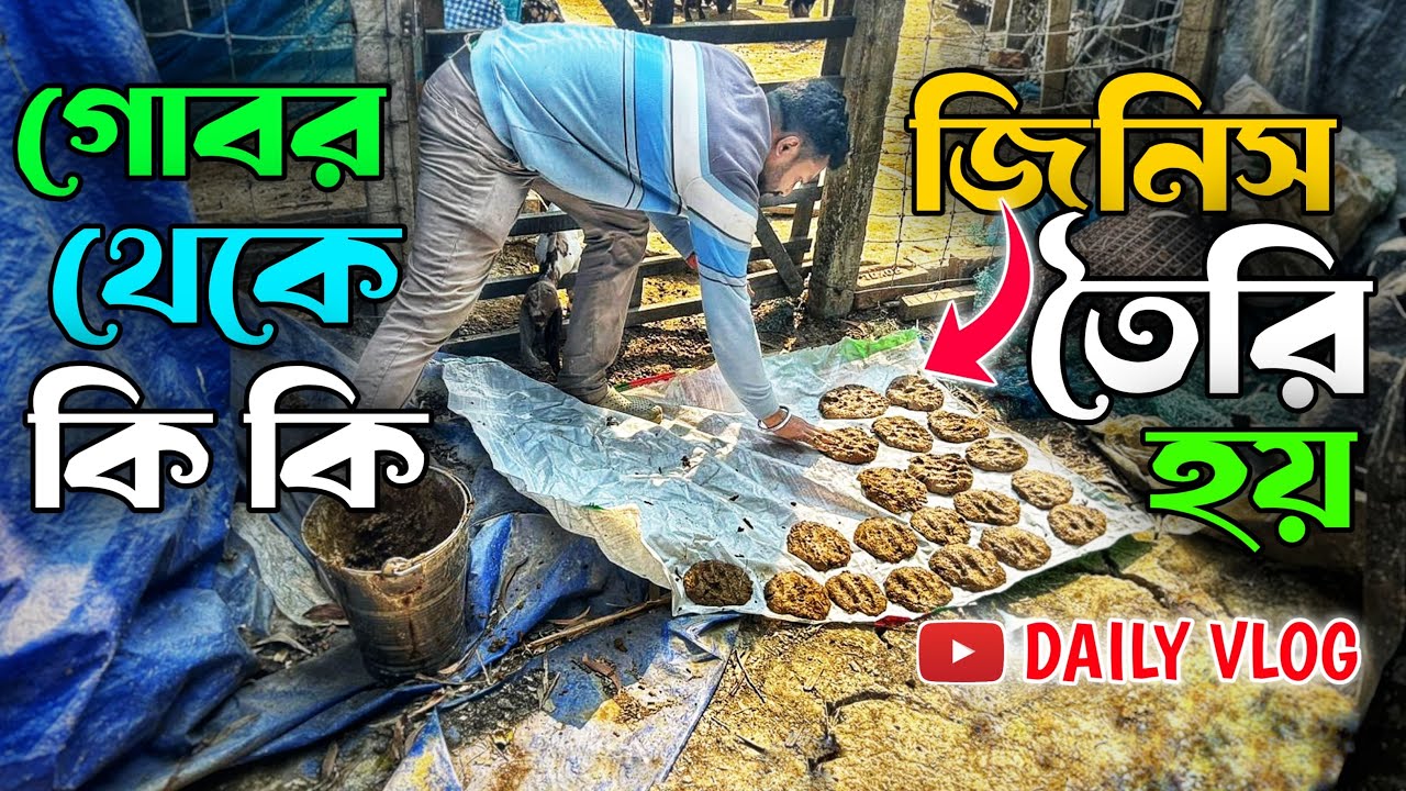গোবর থেকে কি কি জিনিস তৈরি হয় 🐄 নিউ ভাইরাল ভিডিও 🎥 ভাইরাল নিউ ব্লক ভিডিও || পশু পালন ভিডিও 