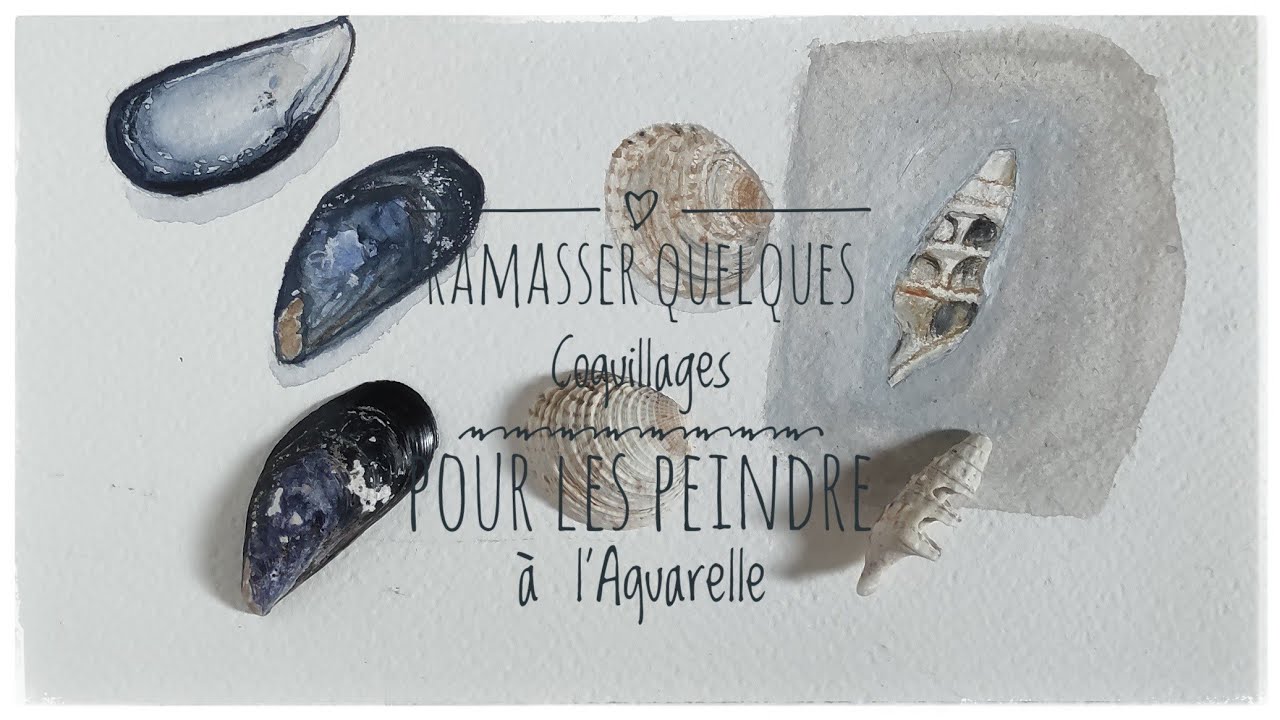 Coquillages et Aquarelle