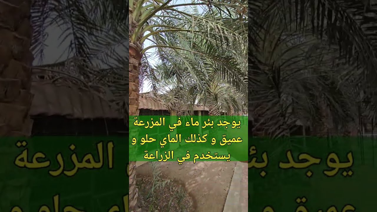 استراحة على ارض مساحتها 6500 متر مربع في المصنعة منطقة الملدة تغطية المهندس سالم البرواني