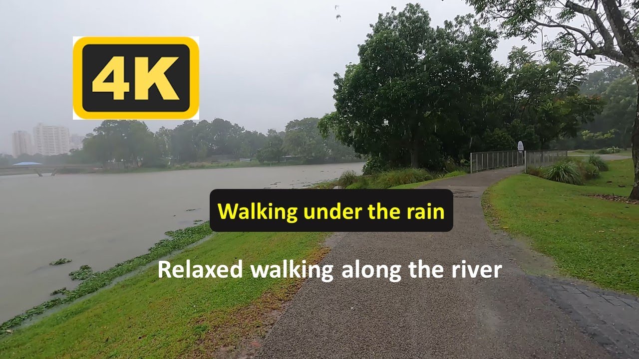 [4K] Walking under heavy rain - Lakeside Garden