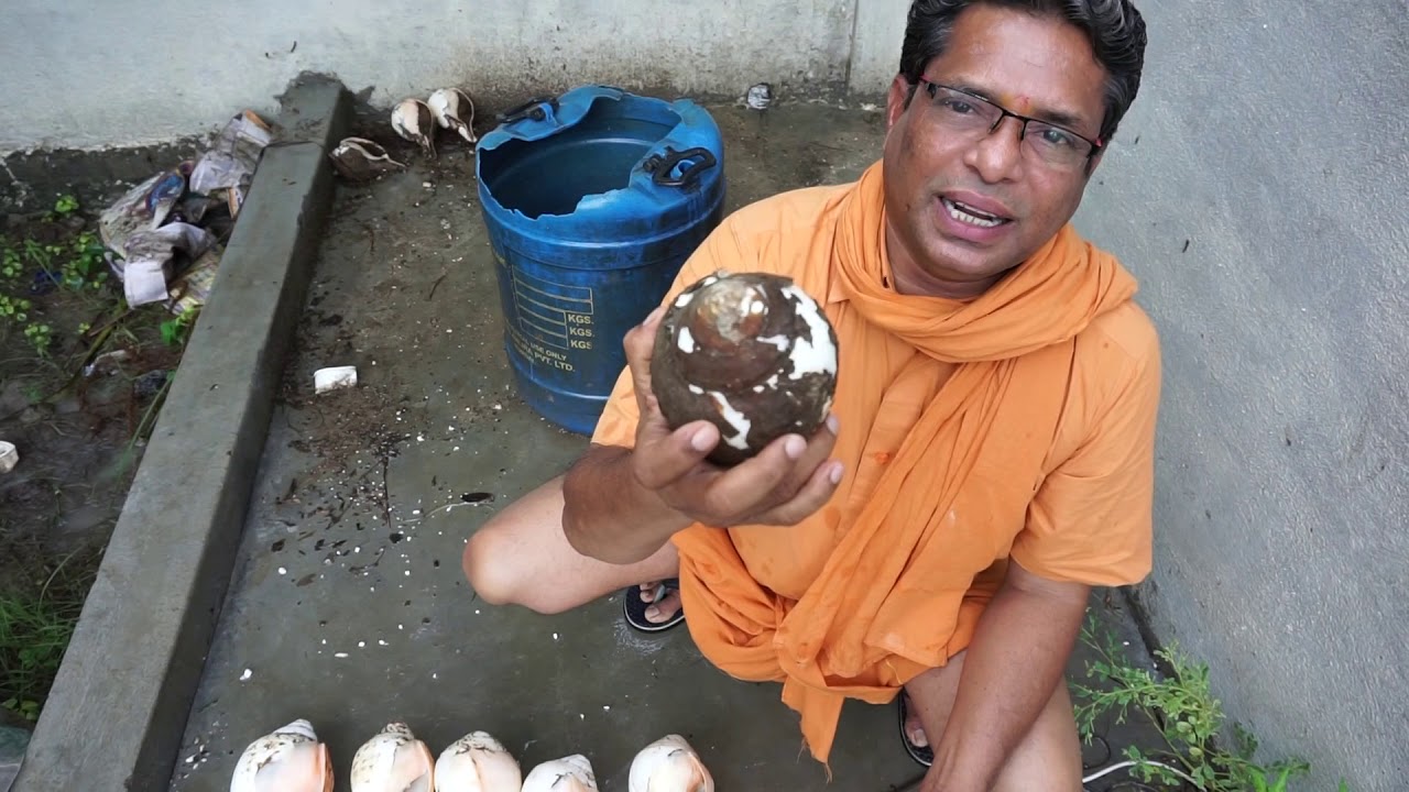 Latest Video of Valampuri Sangu & Annadhanam