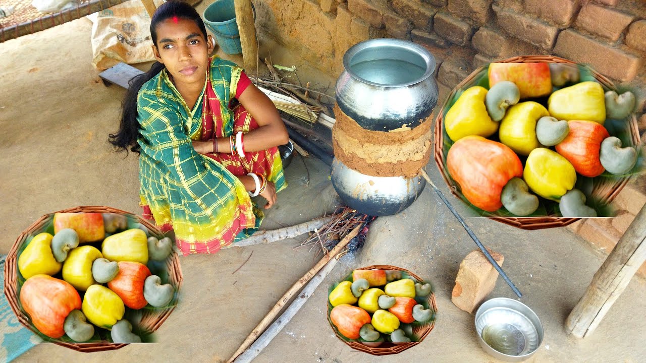 Cashew fruit wine making and drinking |     wine recipe | santali recipe | village cooking