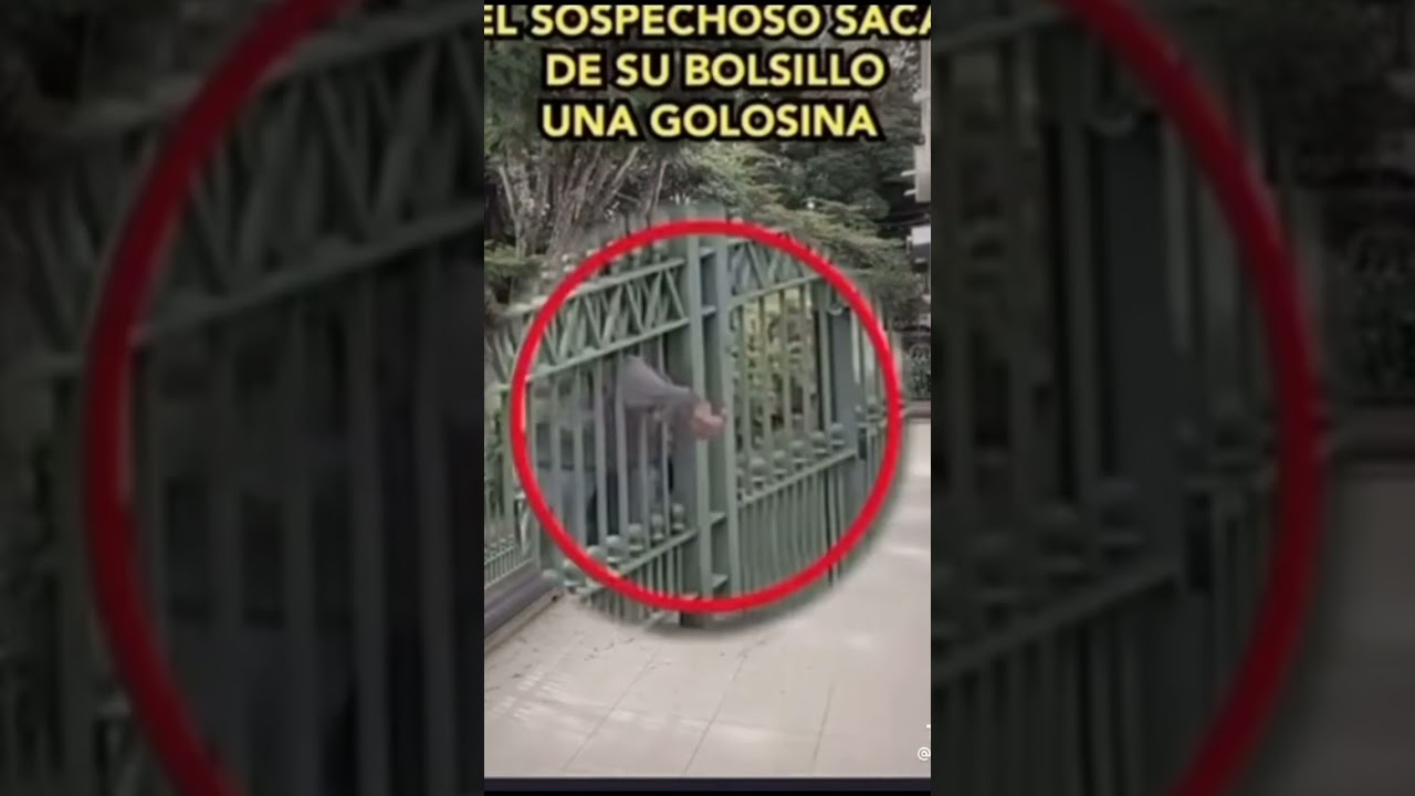roba ni&ntilde;os