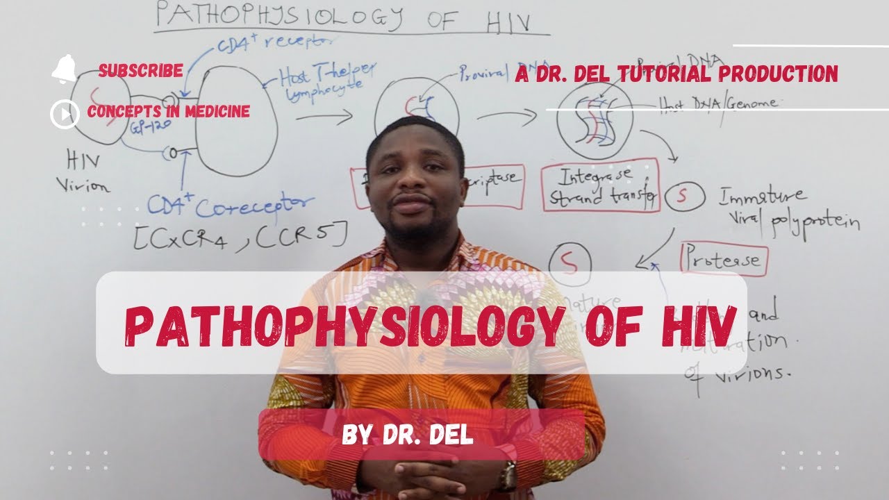 Pathophysiology Of HIV (Made Easy!!)
