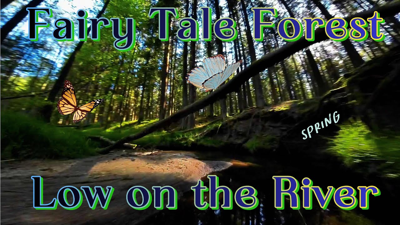 My Fairy Tale Forest - #Cinematic #nature