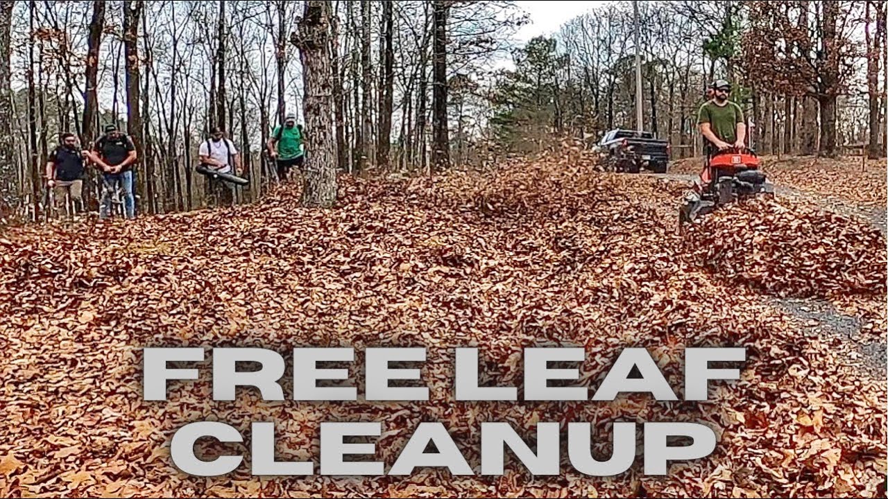HELPING a family for FREE. Another CONTRACTOR offers to PAY for LEAF CLEAN UP. 5 guys 1.75 hours