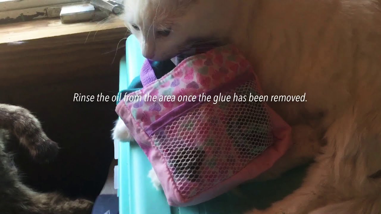 What to do if you get burned by a hot glue gun
