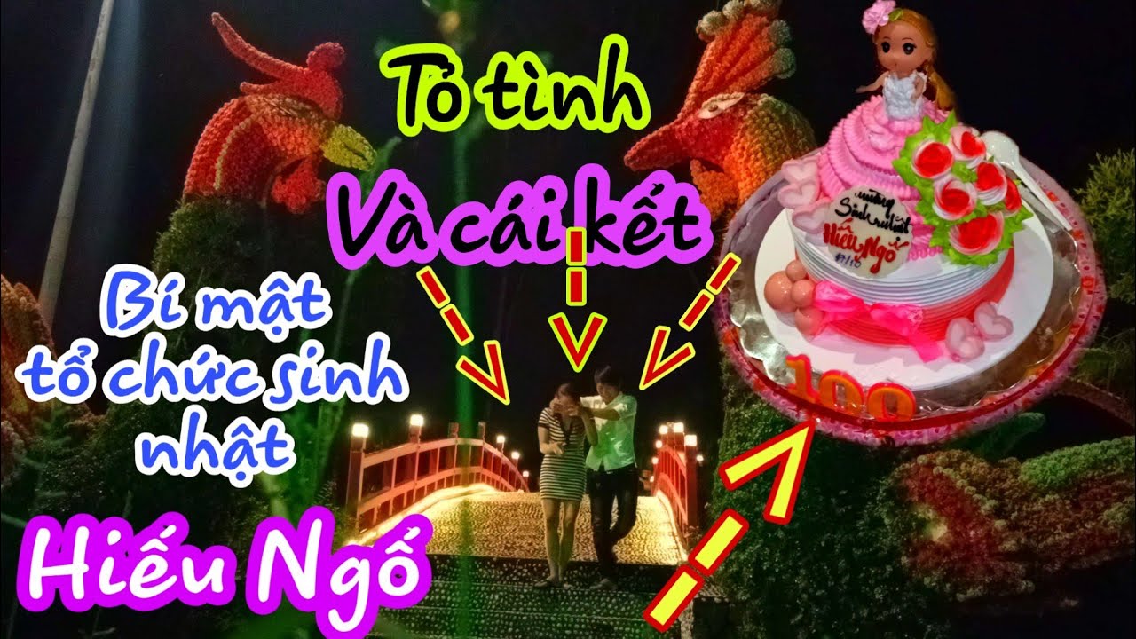 BÍ MẬT TỔ CHỨC SINH NHẬT | Tỏ Tình Hiếu Ngố Và Cái Kết | Sơn Ngố Vlog