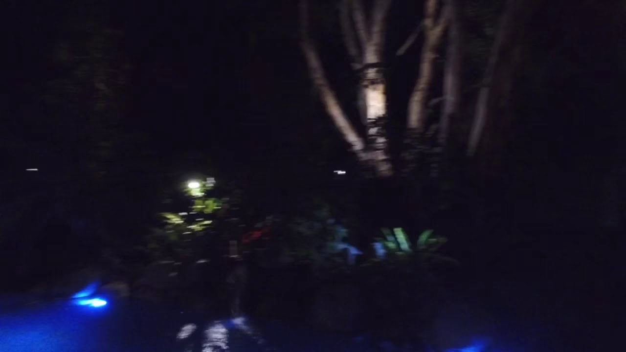 Turtle Cove Beach Resort