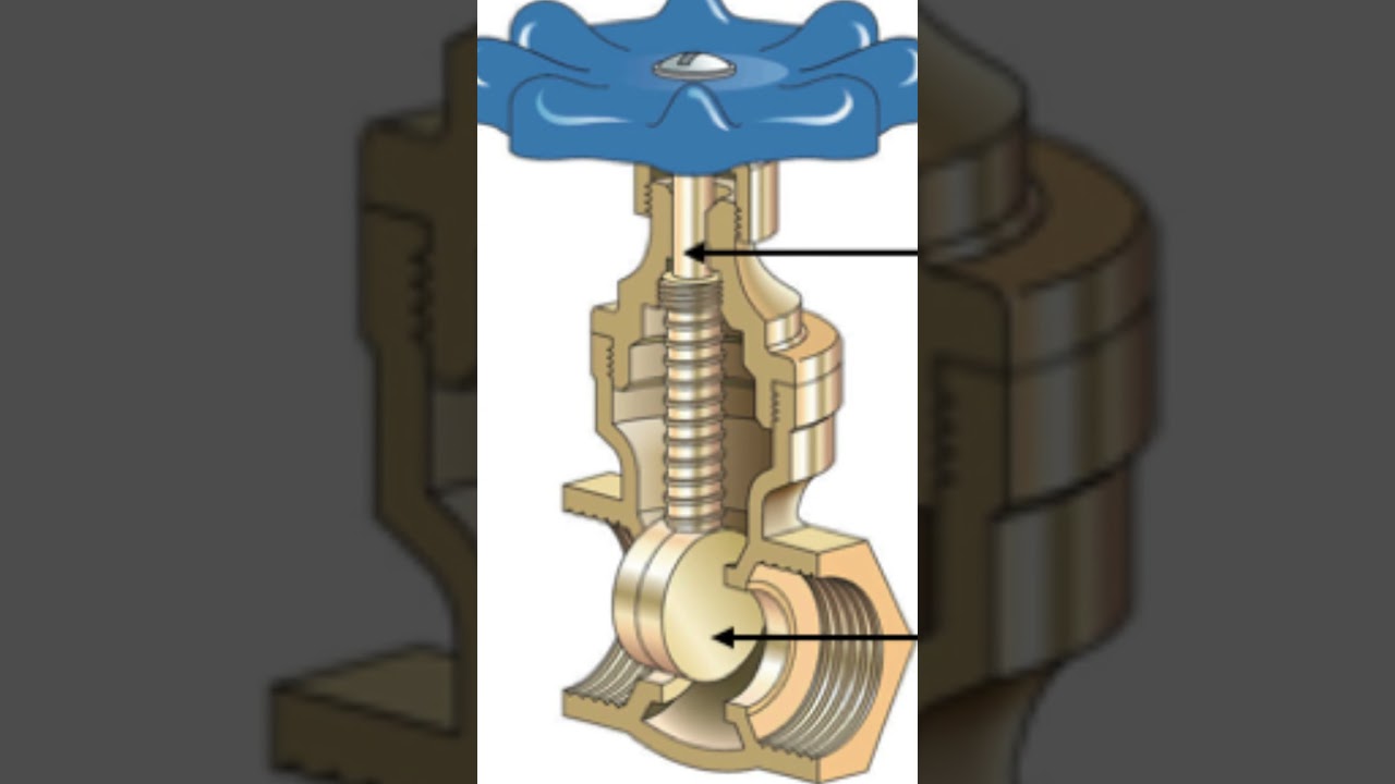 Stop Valve Vs Ball Valve-Shut Off Valves #plumbing