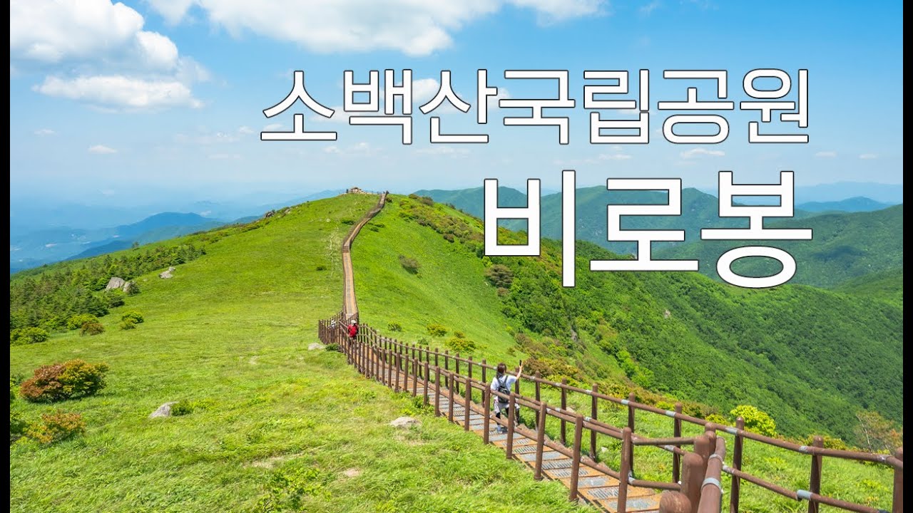 1,439m 소백산 국립공원 비로봉 정상 도전!