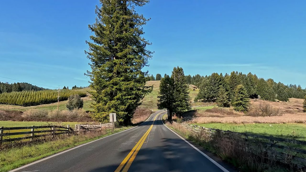 A Drive From Nice to Fort Bragg in California