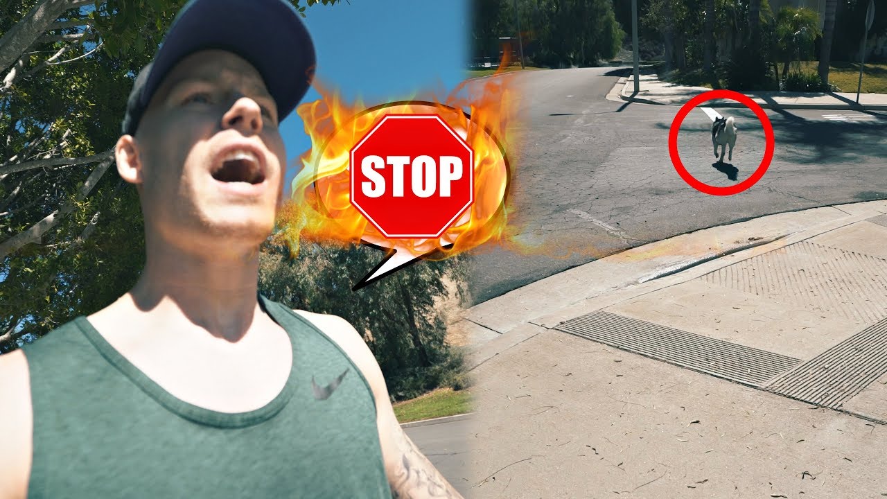 Our DOG RAN AWAY! I had to CHASE after Sky