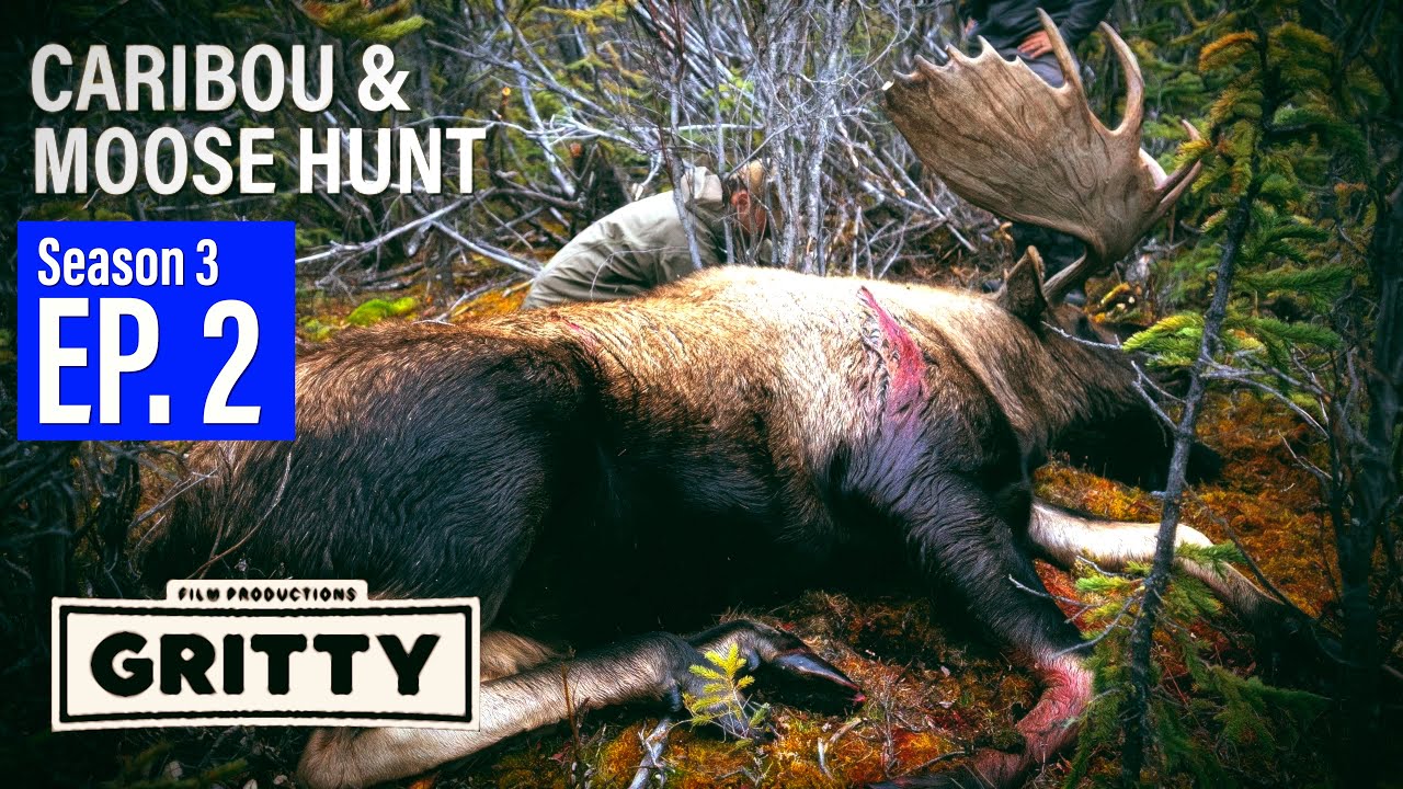 SEASON 3 | EP 2 | 100 MILE RIVER FLOAT | MOOSE & CARIBOU | 🎬 GRITTY 4K FILM