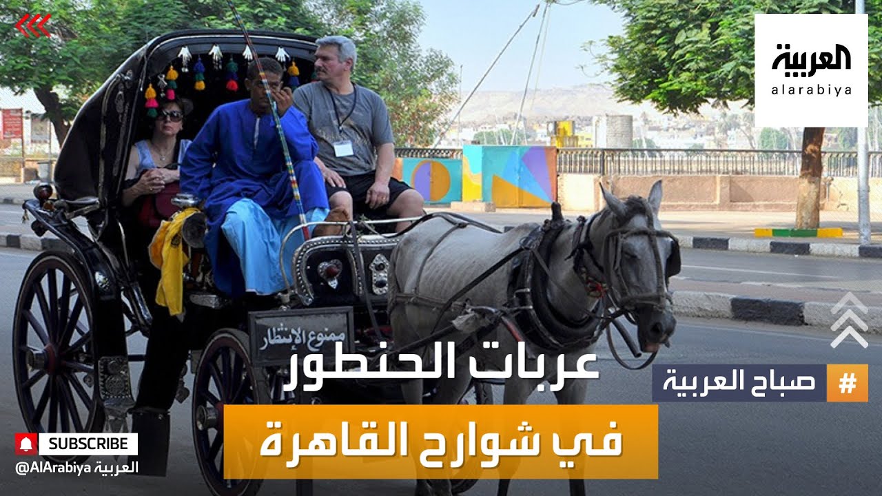 صباح العربية | أقدم وسيلة نقل في القاهرة .. الحنطور يزدهر 