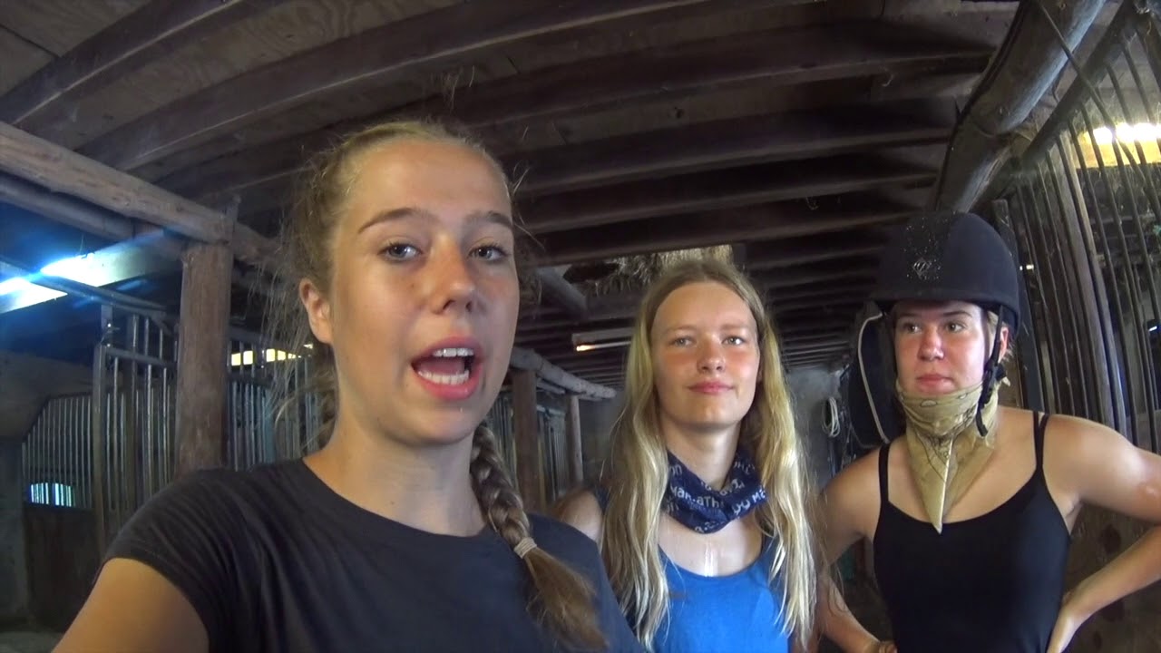 Week vlog fjordenpaard week 3 2018