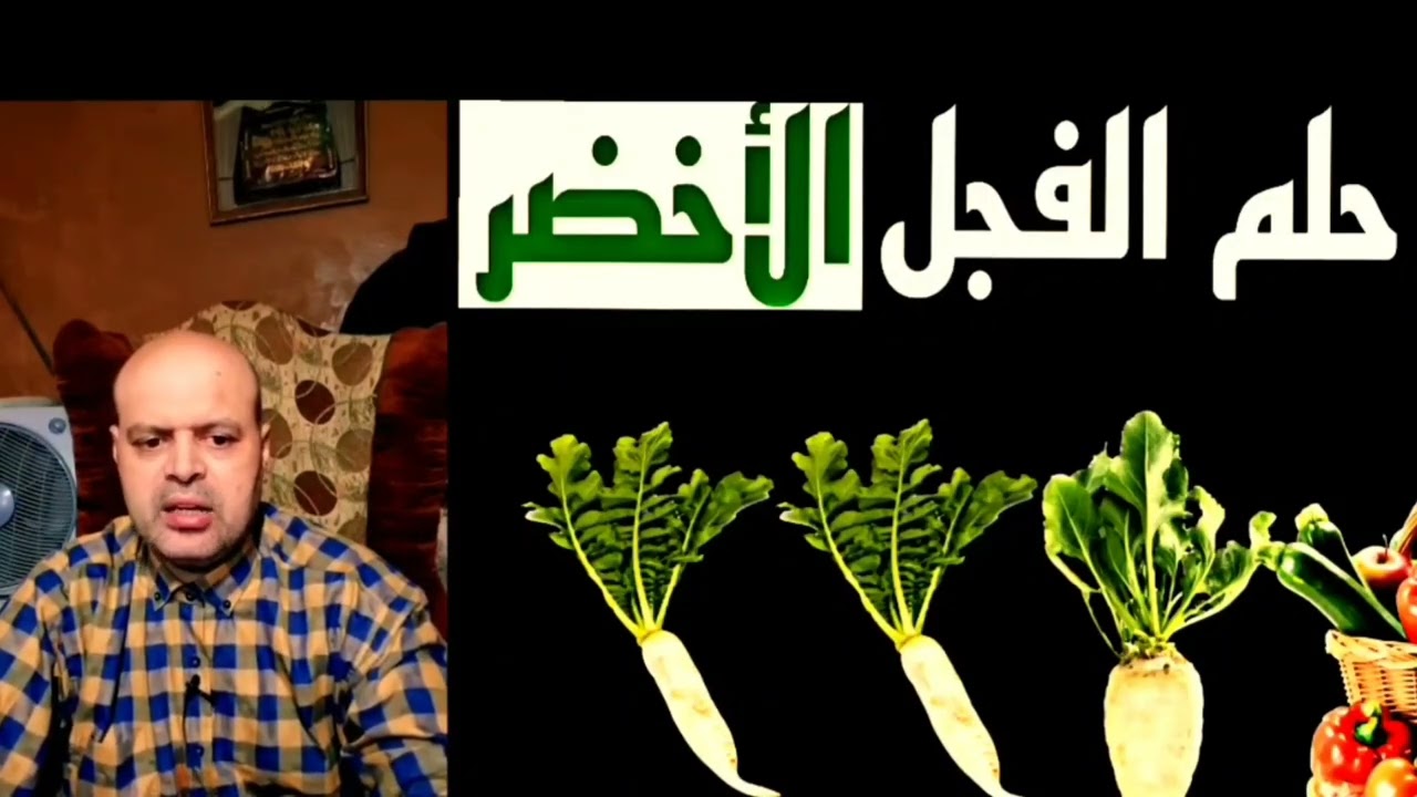 تفسير رؤية الفجل الأخضر في المنام، حلم تقطيع الفجل في الرؤيا، Radishes in a dream، تفسير الأحلام 