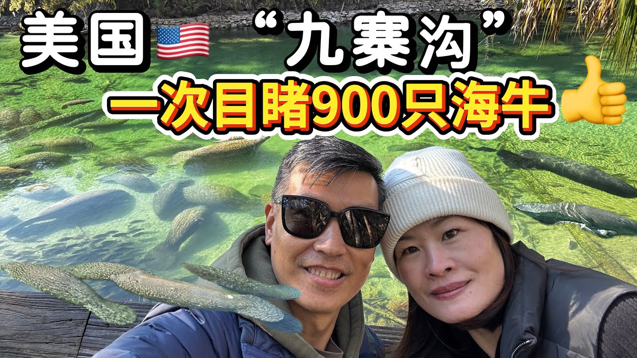 房车生活｜难得一遇寒流袭击，断水断电如何生存｜这里的海牛与游客数量已经到达巅峰 | 网友好介绍营地果然是神仙地方|（RVLifestyle）