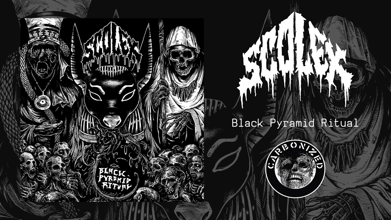 Scolex - 
