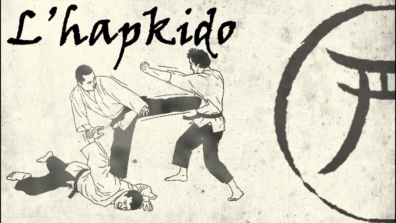 9eme kyu: l'hapkido