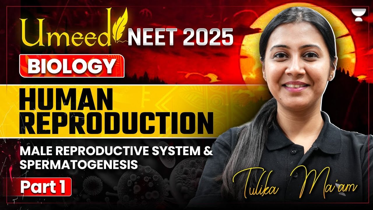 UMEED NEET 2025: Human Reproduction | Male Reproductive System & Spermatogenesis | Tulika Jha