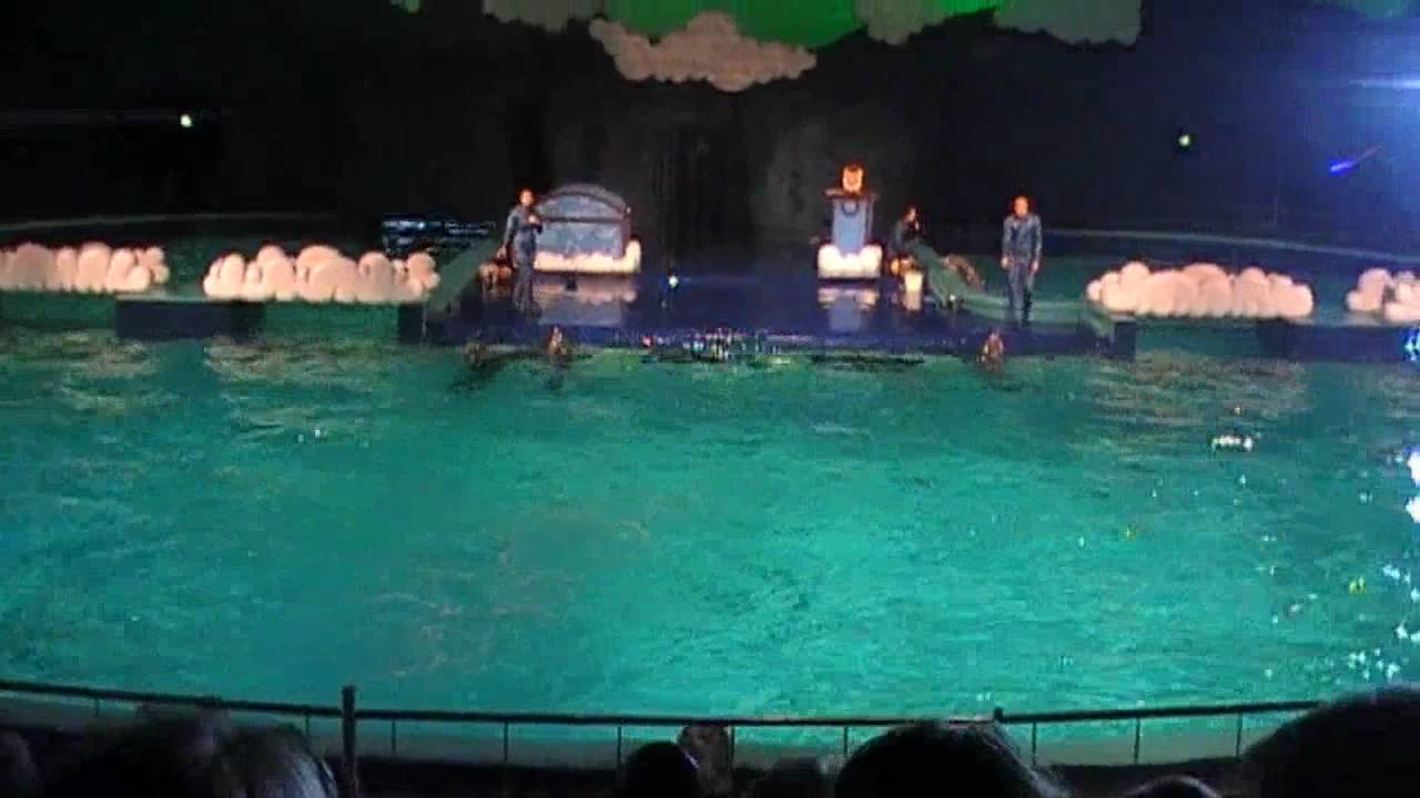 Dolphin show ''De Droomwens'' Part 2. Dolfijnenshow