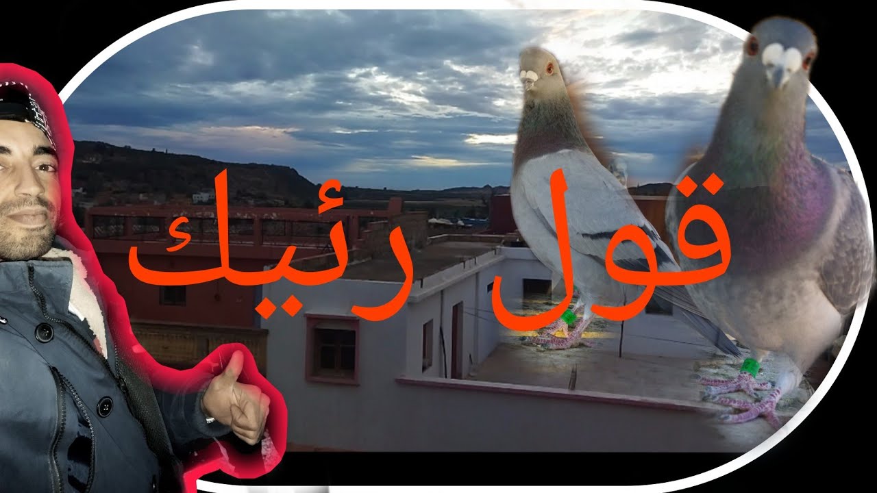 توليعة في أجو جبال الأطلس ... 🕊️🤑🤩