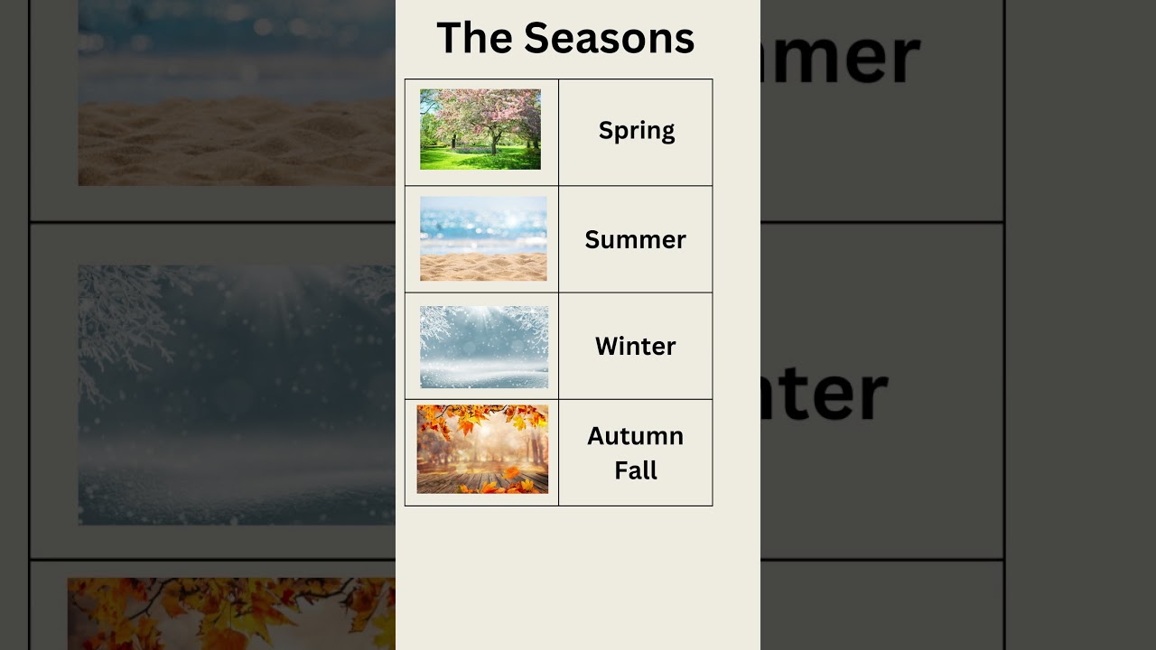 The Seasons | Four Seasons | English Vocabulary